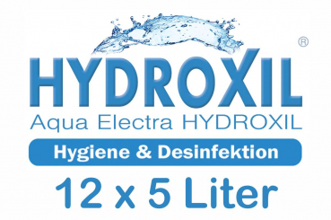 HYDROXIL Desinfektion - 12 x 5 Liter Kanister