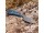 White River M1 Marbled CF/ Blue G10, Black, Limited Edition 2023