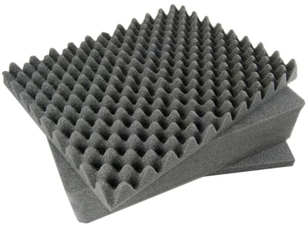 PELI™ 1520 Protector Schutzkoffer